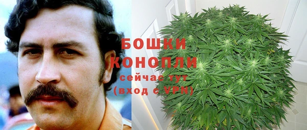 гашик Абинск
