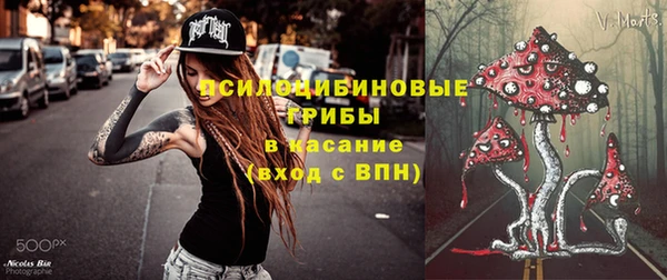 тгк Алзамай