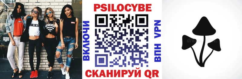 закладка  Калач  Псилоцибиновые грибы ЛСД 